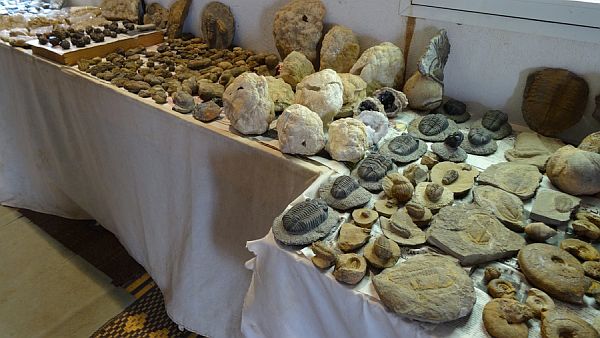 Fossilles Maroc